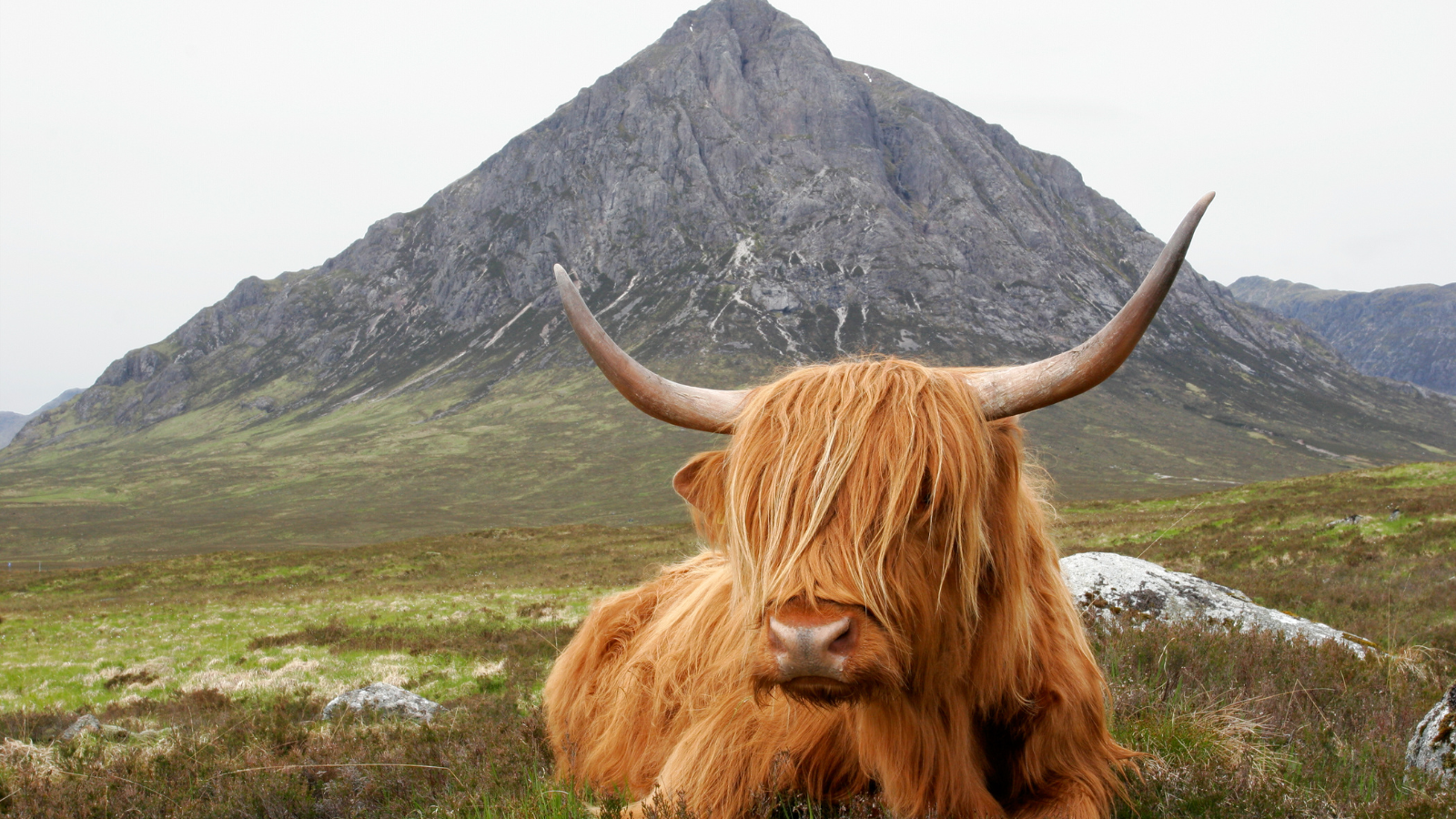 Wandelreizen Boeken Schotland