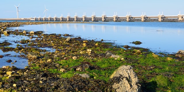 Wandelroutes Langs Nederlandse Kust 10 Tips Wandelroute Neeltje Jans Duinlandschap