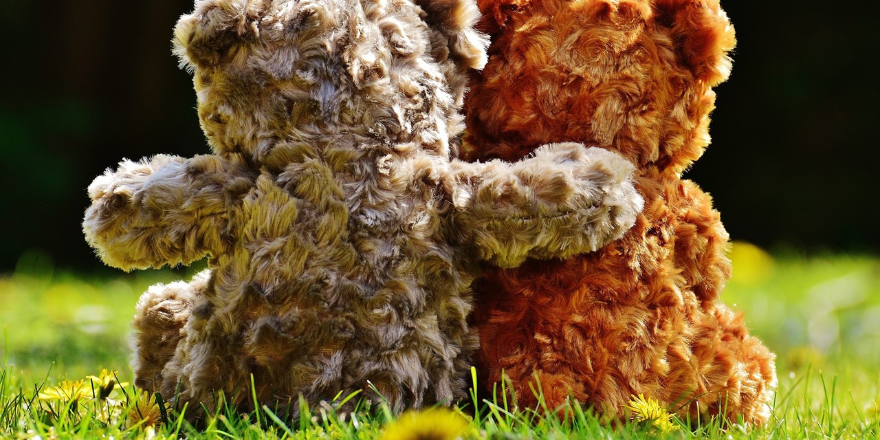 Twee teddy beers houden elkaar vast