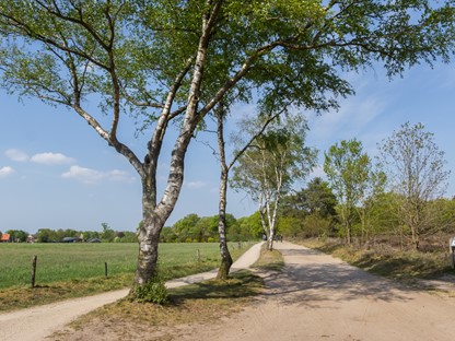 Trage Tocht Noetsele Noetselerberg