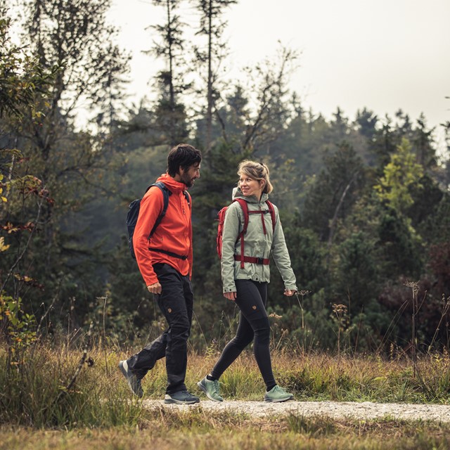 Afbeelding wandelaars met lage wandelschoenen
