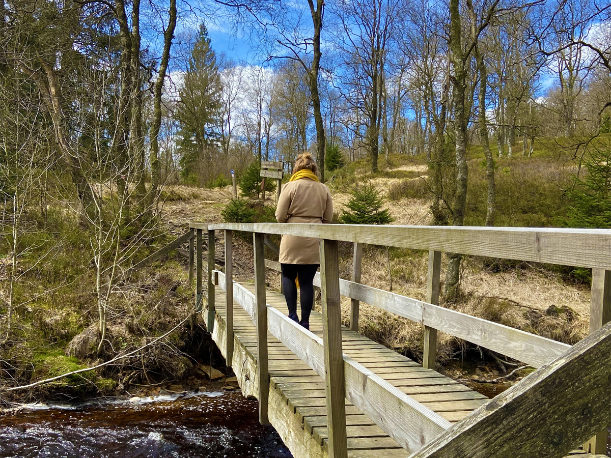 Wandelen over bruggetje 
