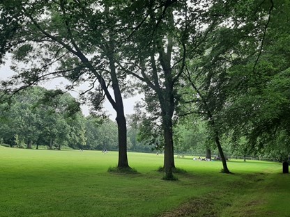Picknickplaats in Amelisweerd