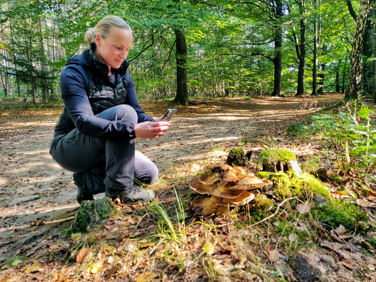 afbeelding van een wandelaar die een foto maakt van een paddenstoel.