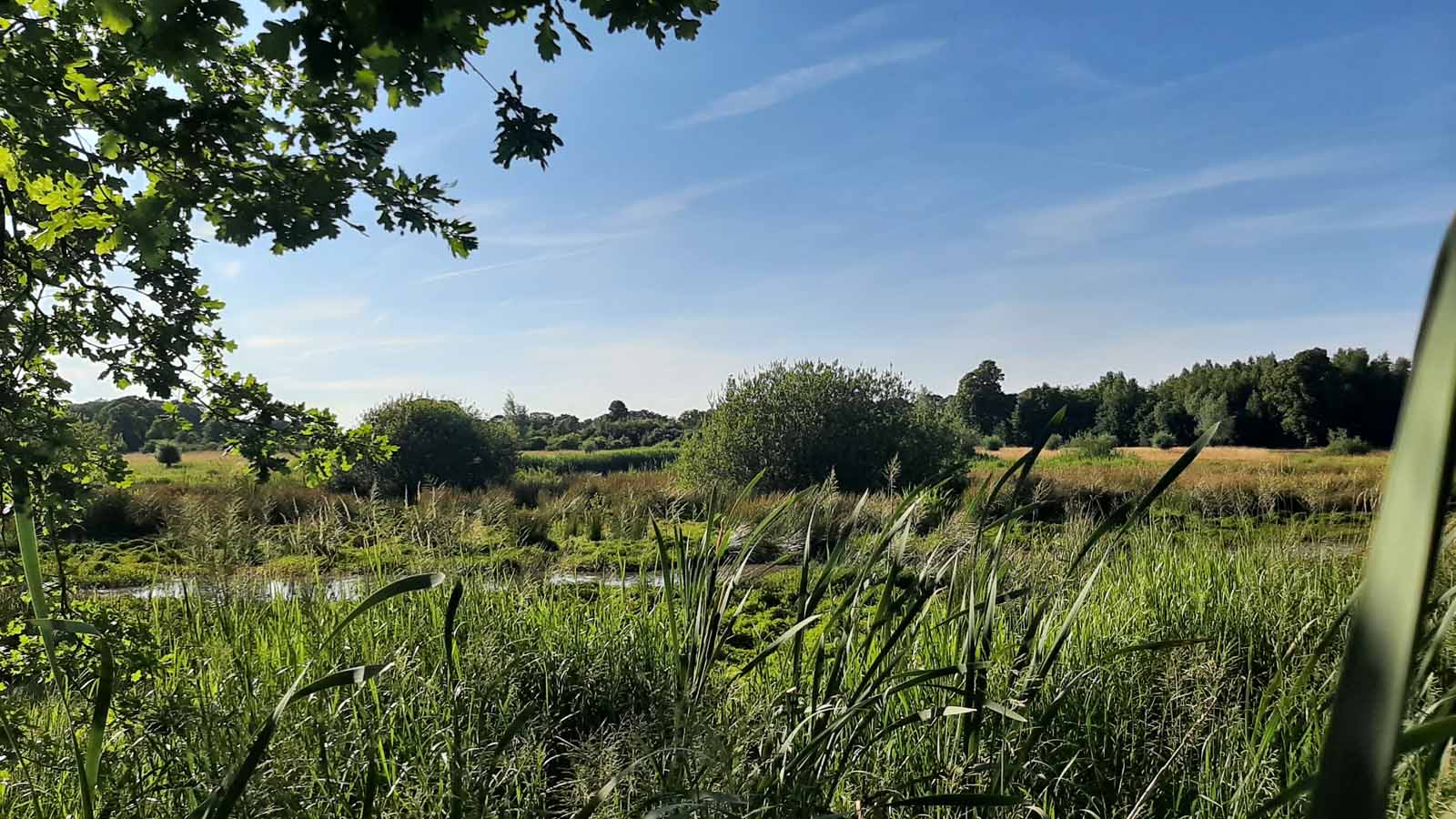 afbeelding van het natuurgebied in Goirle.