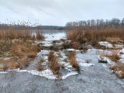 Wandelen in de ijstijd Uddelermeer