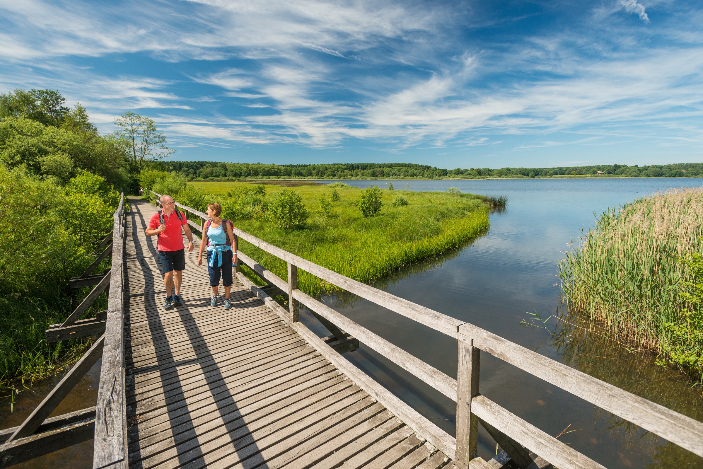 Wandelen in Rijnland-Palts