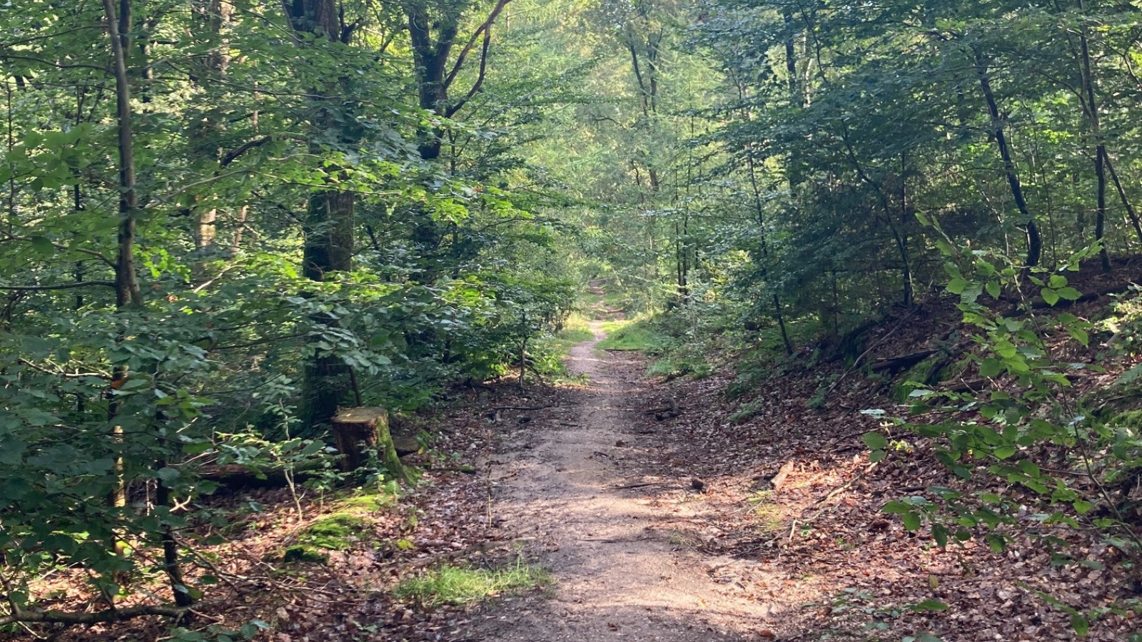 Pieterpad Etappe 18 Groesbeek