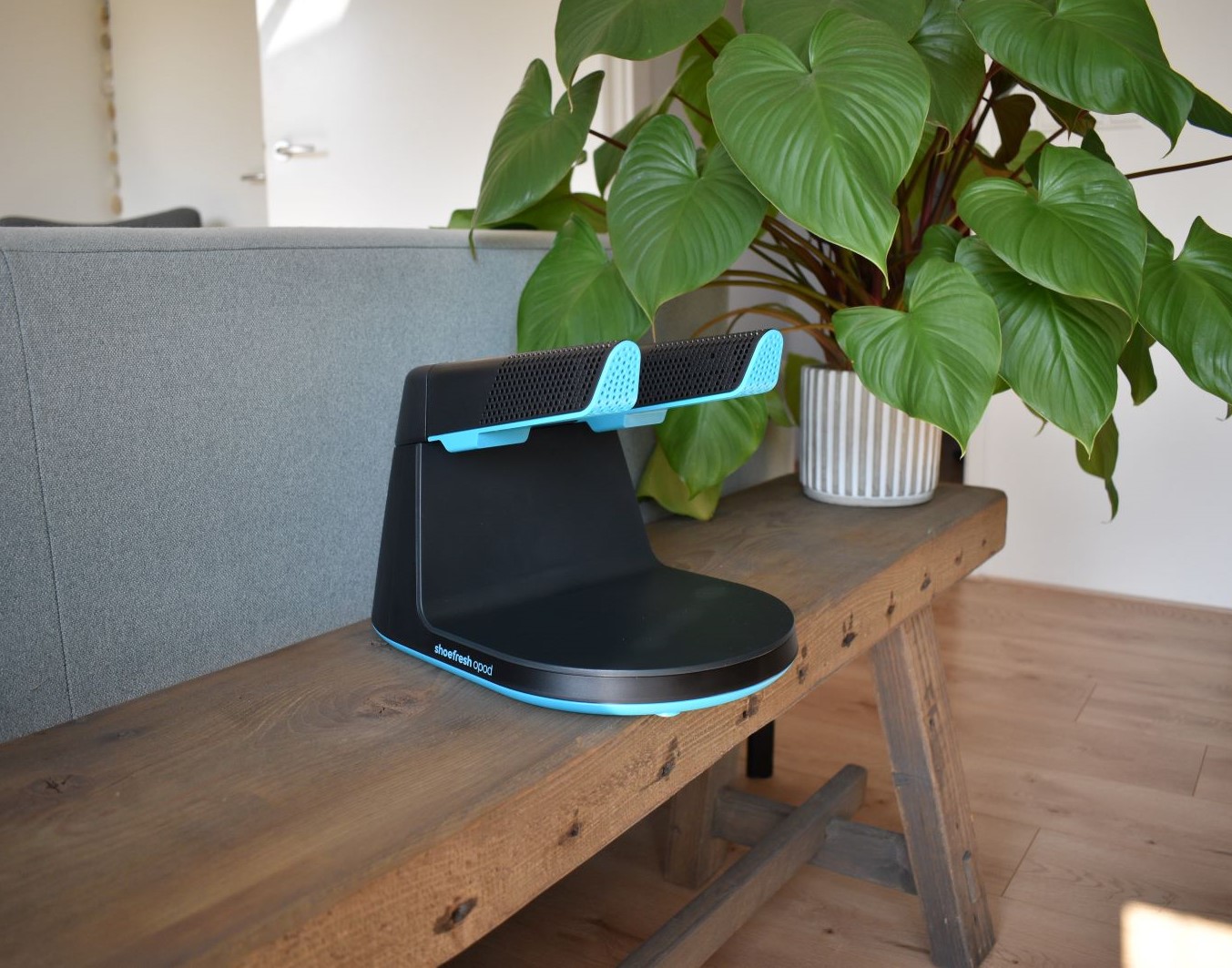 Shoefresh opod schoenverfrisser