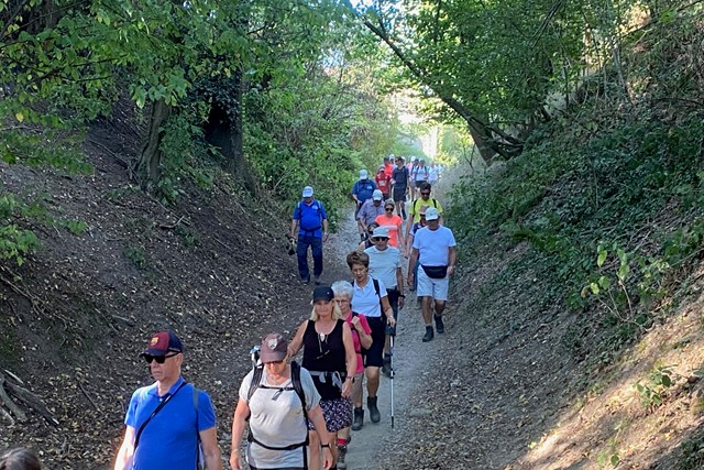 wandelaars lopen op een pad heuvel af.