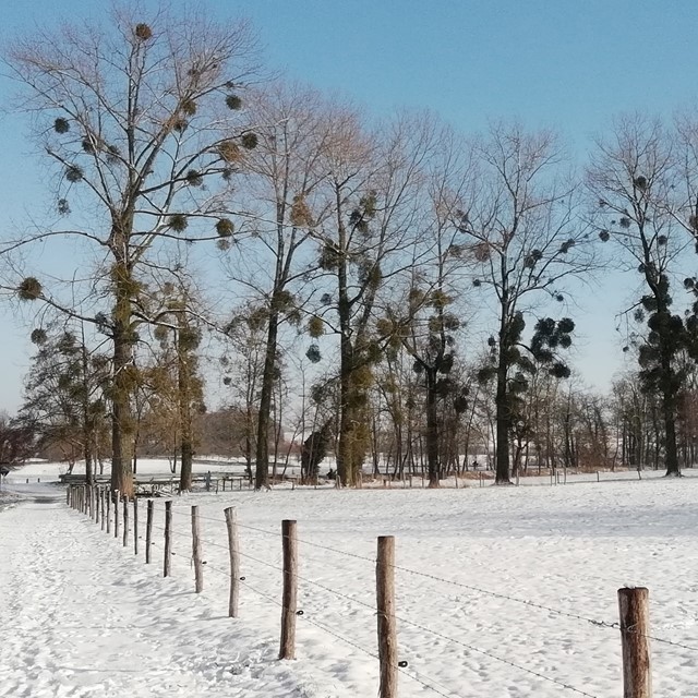 Winterwandeltochten; Gulpdal