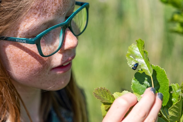 Agnes ziet een glimmend kevertje op een plant.