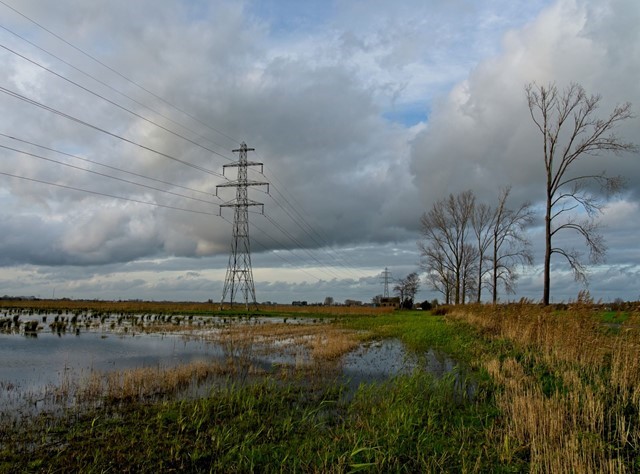 Deze 6 Klompenpaden Wil Je Niet Missen Klompenpad Gelderland Zeldzame Blauwgraslanden Op Het Harsloerpad In Bennekom