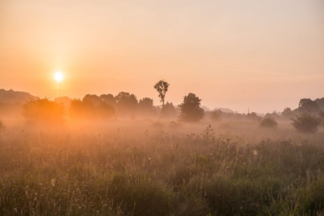 afbeelding van een natuurlandschap in de mist.