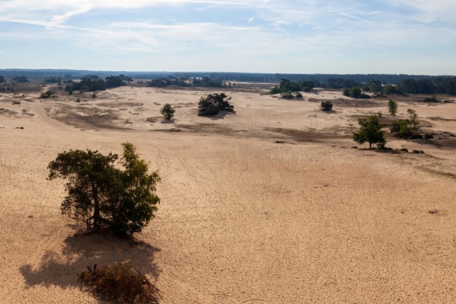 Kootwijkerzand.
