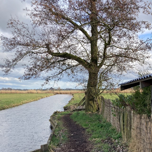 afbeelding van een paadje langs het water.