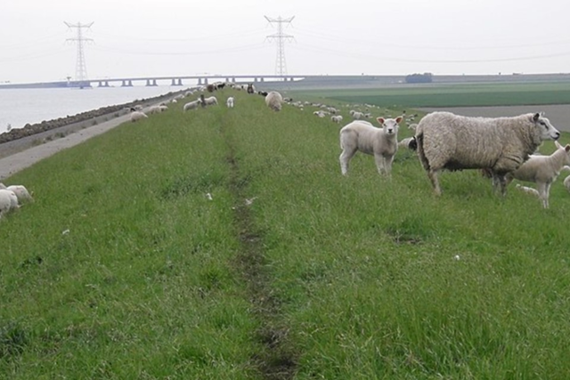 Pionierspad (LAW 1 2) 4 Pionierspad (LAW 1 2) Etappe 4 Enservaart Ketelmeer