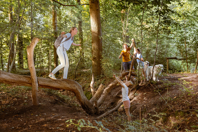 Wandelroute België, West Vlaanderen Bulskampveld Kindvriendelijk En Leerzaam