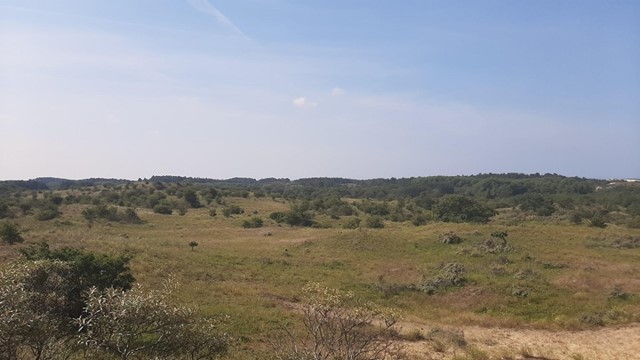 Nationaal Park Zuid-Kennemerland, foto: Saskia van den Brand
