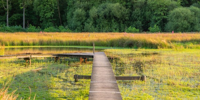 Wandelroute België West Vlaanderen Bulskampveld