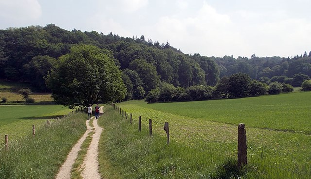 Wandelaars walk of wisdom