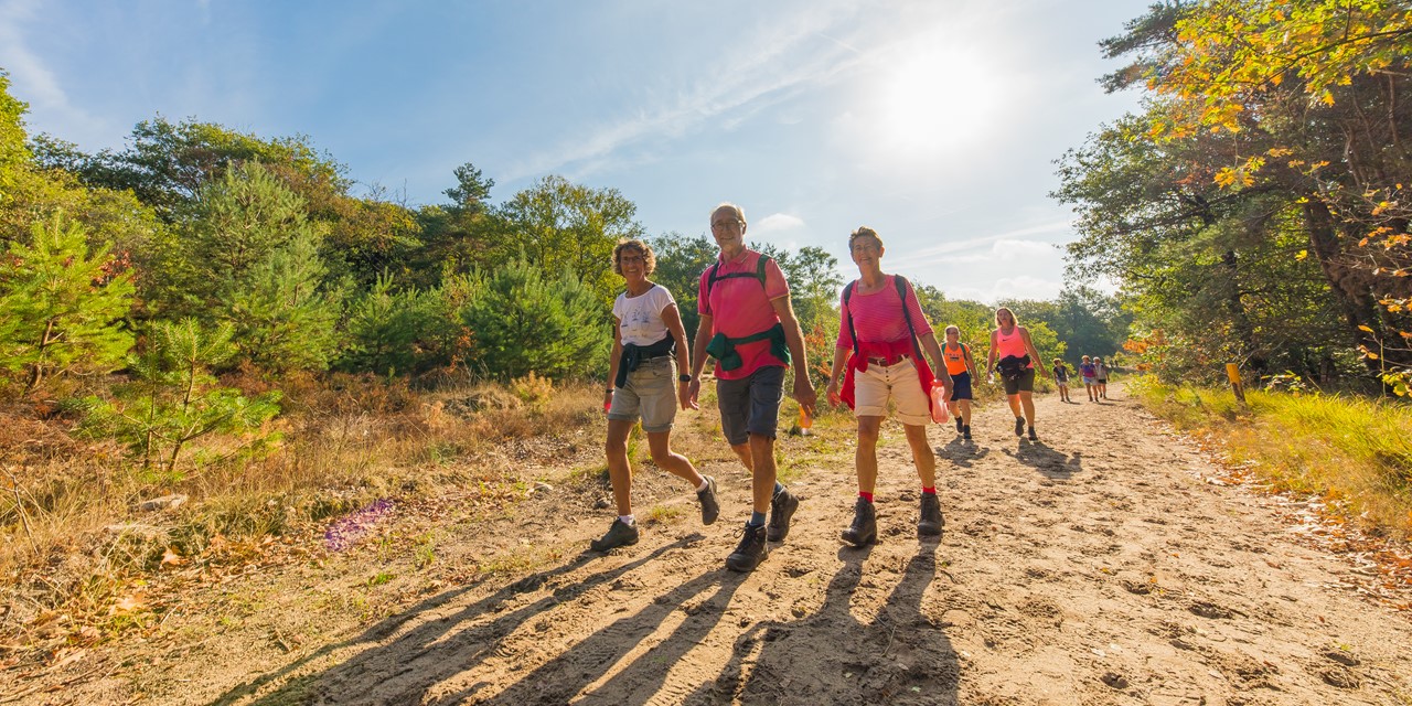 Afbeelding Soester Wandelweekend