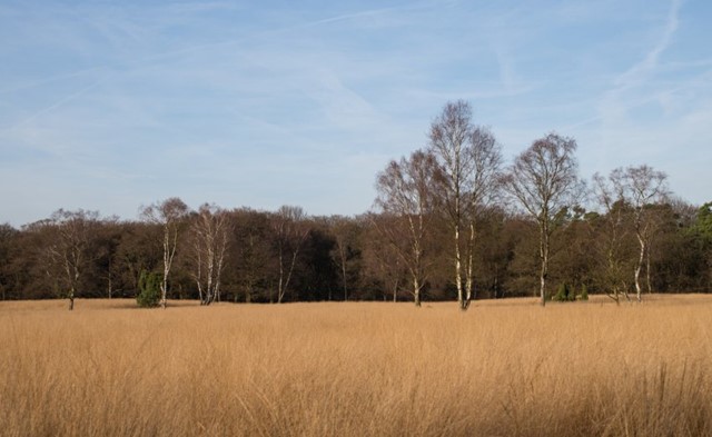 De Hoge Veluwe