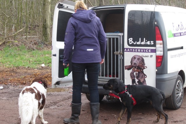 afbeelding van een vrouw met twee honden bij een busje van de hondenuitlaatservice.
