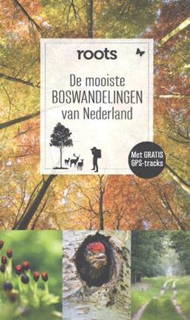 De mooiste boswandelingen van Nederland
