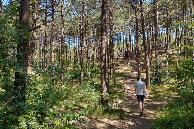 Wandelroutes op de Waddeneilanden Streekpad WaddenWandelen, Hoornerbos Terschelling