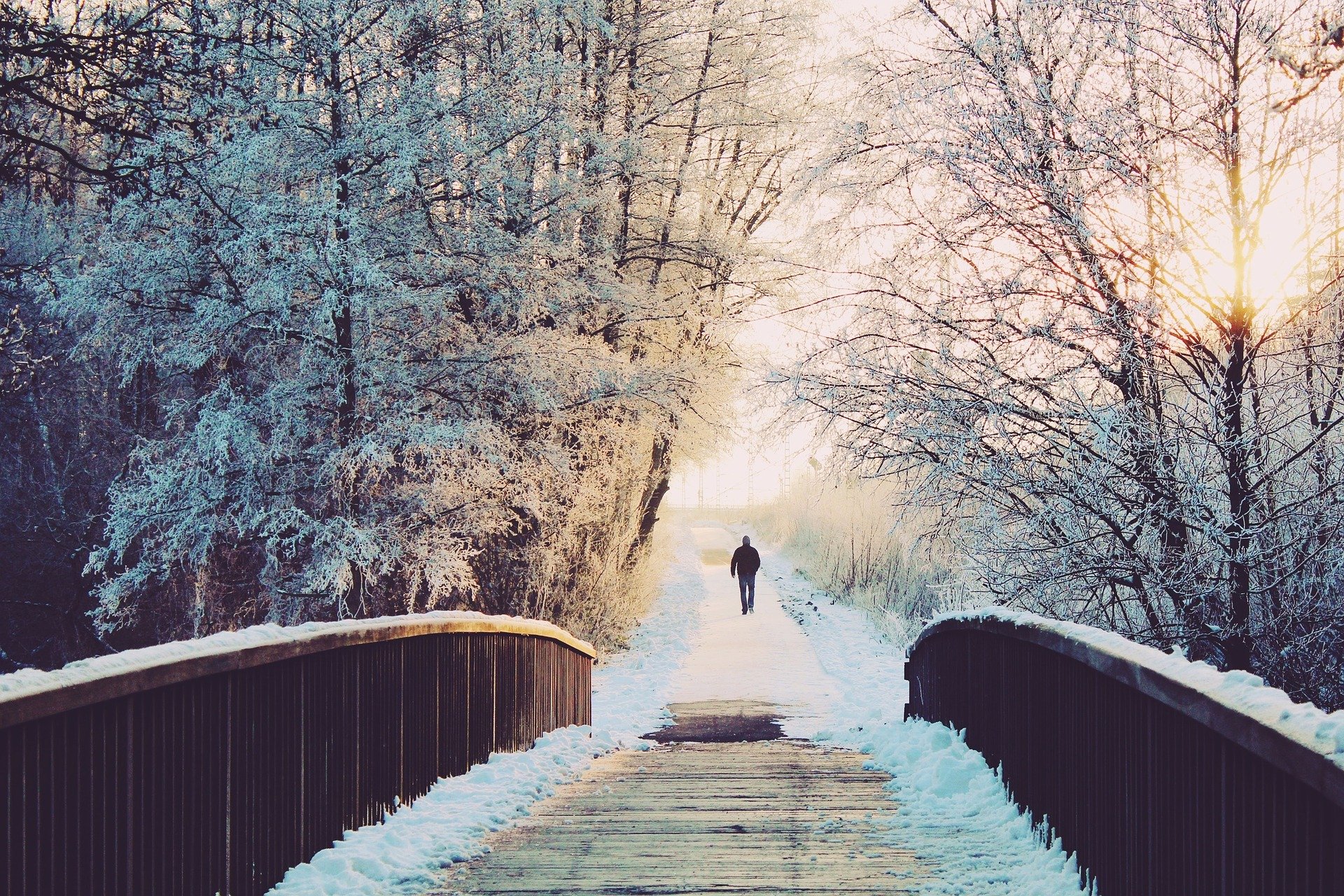 Brug in een bos in winterse omstandigheden