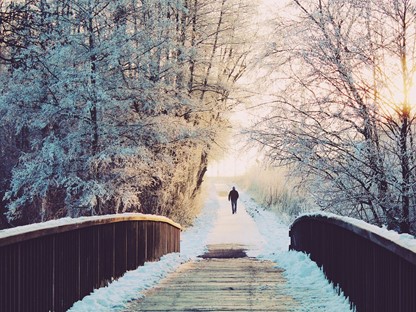 Brug in een bos in winterse omstandigheden