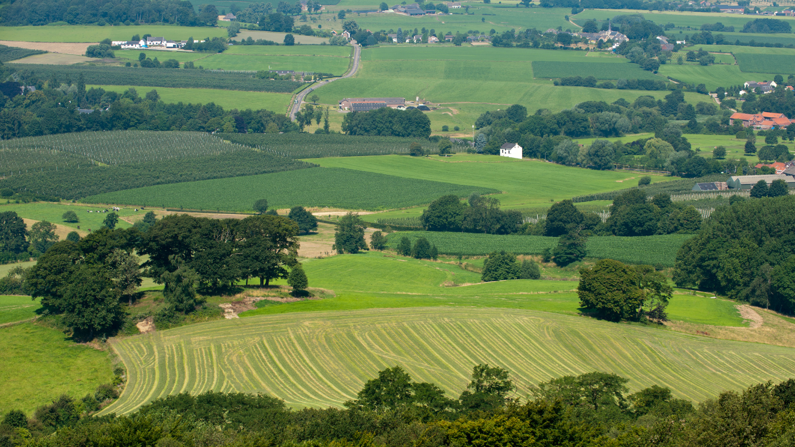 Wandelroute Vaalserberg Bergwandeling Vaals