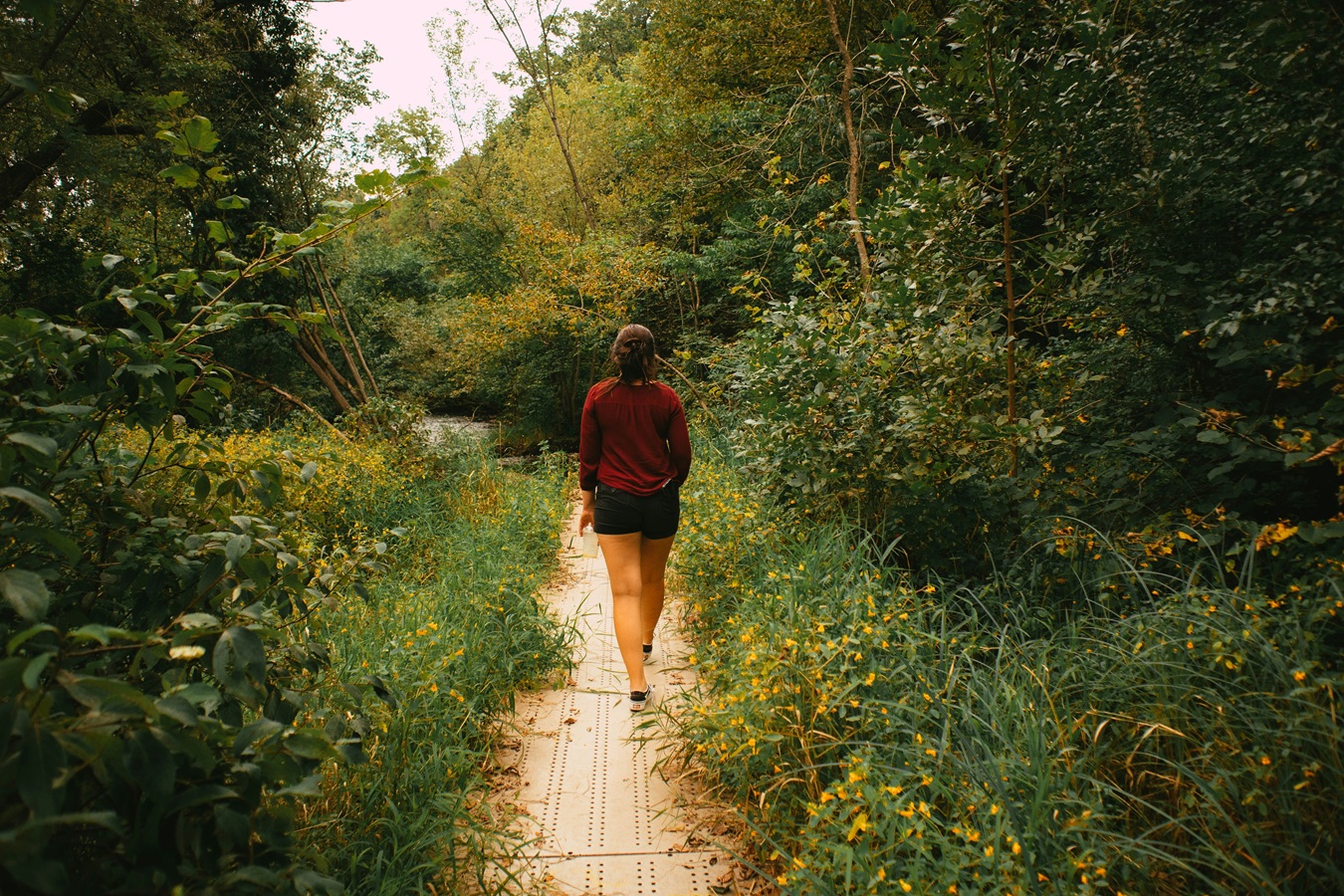 Wandelen als beginner