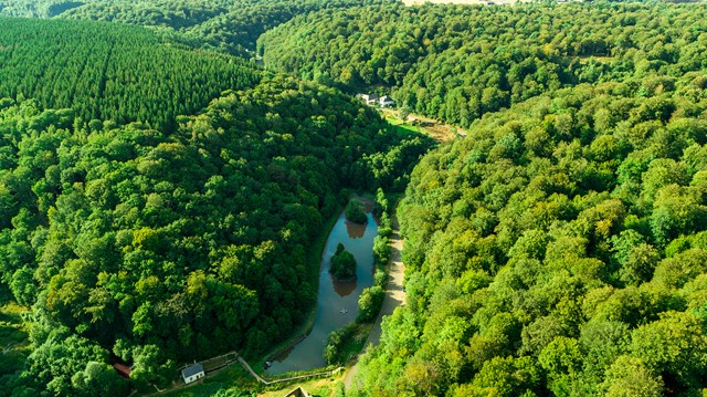 Bos Van Montauban (Foto: © VISITWallonia)