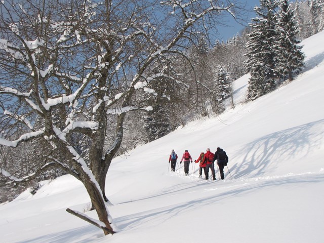 Tennegebergte In Het Lammertal, Oostenrijk