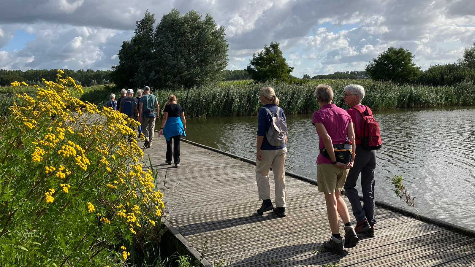 Header Almere Woensdag Wandeldag
