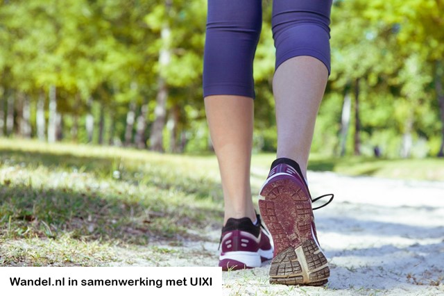 Wandelaar in natuur