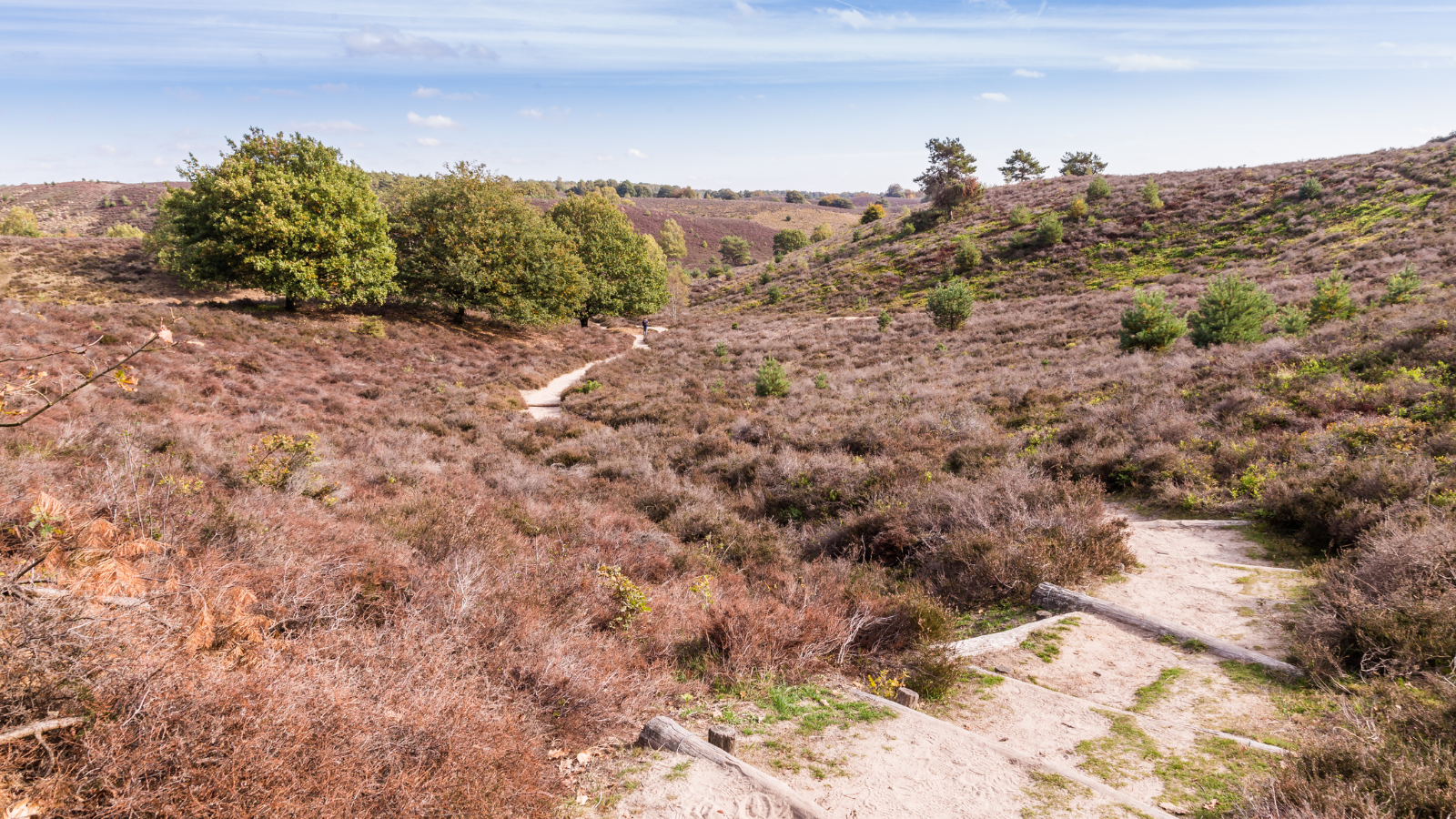 Wandelroute Veluwezoom Posbank