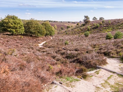 Wandelroute Veluwezoom Posbank