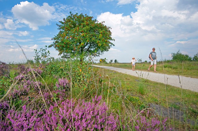 afbeelding van iemand die in de zomer met een kind wandelt.
