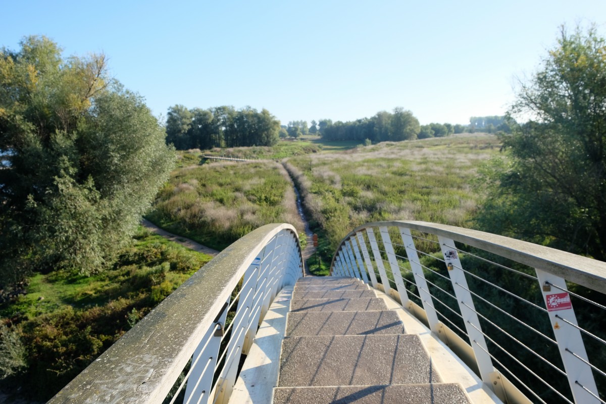afbeelding van een brug naar de natuur.