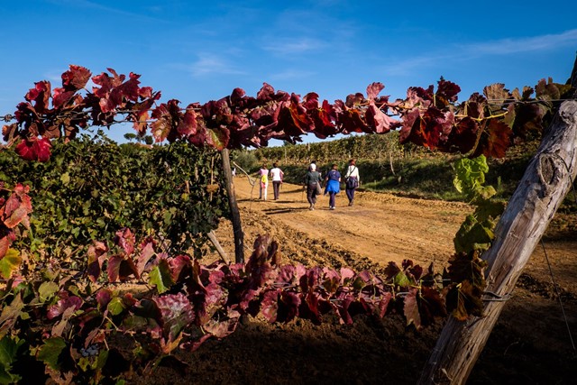 wandelaars in Toscane.