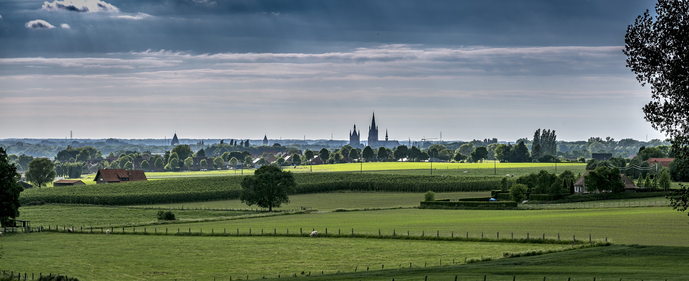 Wandelen in België: Vlaanderen