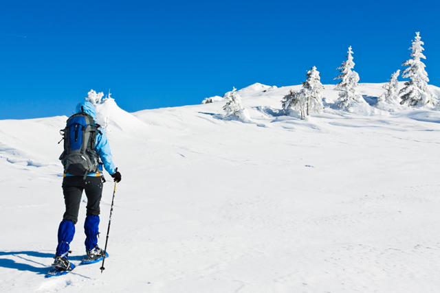 Sneeuwschoenwandelen, Hoe Werkt Dat Zo Beweeg Je Veilig In De Sneeuw