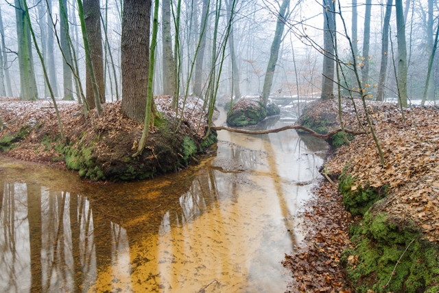 Boswachterspad Veluwe Cultuurroute 'T Sprengen Veluwe