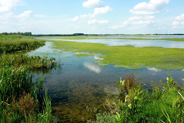 Afbeelding 1 | Wandelroutes in Noord-Brabant