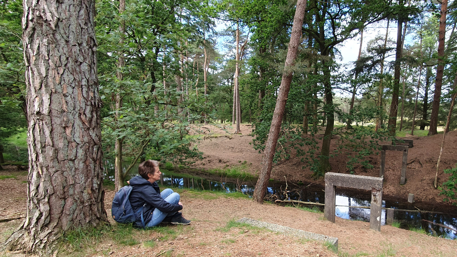 NS Wandeling Utrechtse Heuvelrug Station Driebergen