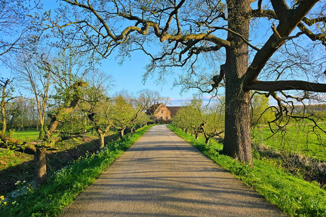 Wandelroute Door De Betuwe De Bloesemroute: Appeldijk Geldermalsen