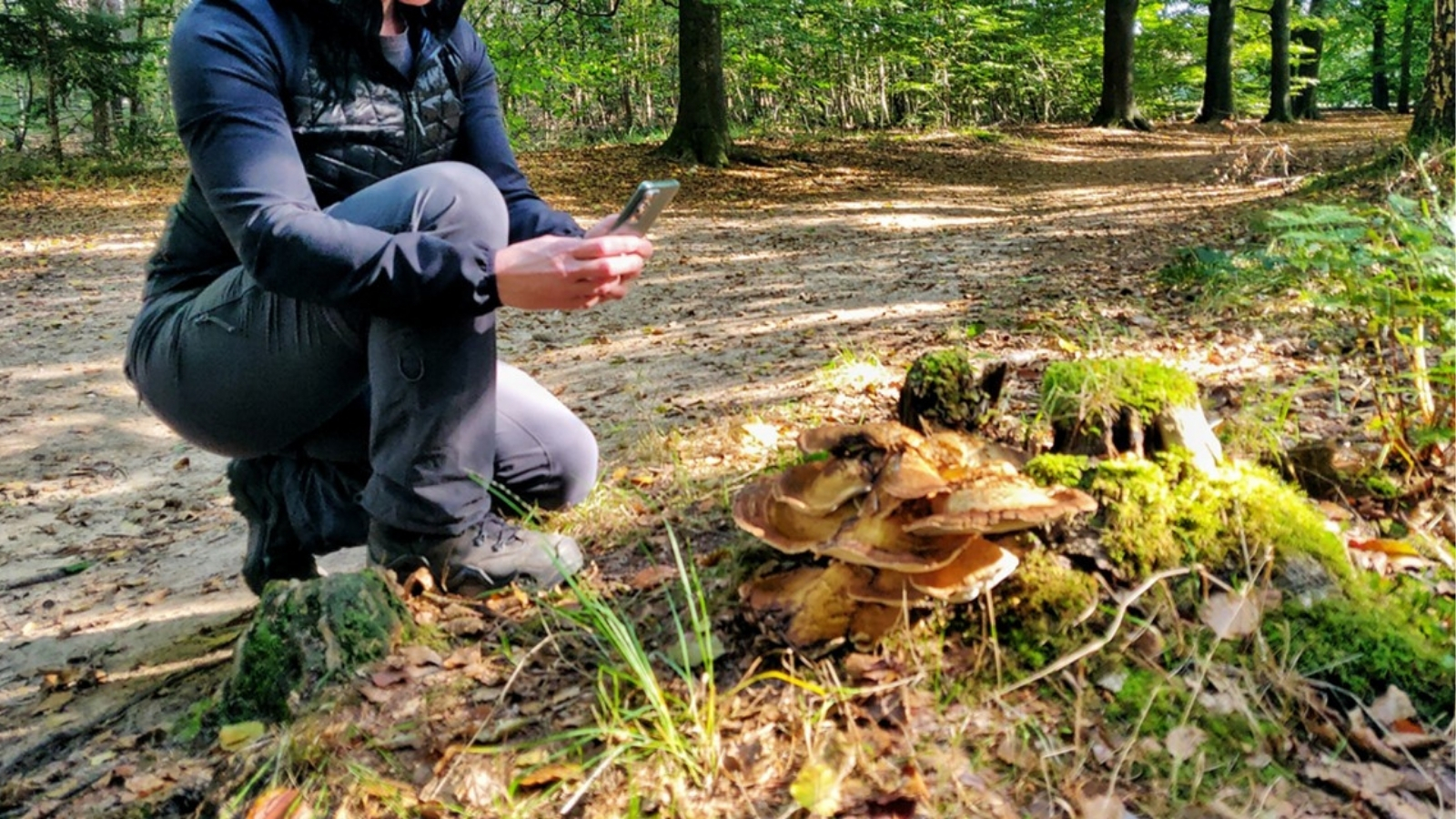 5 Gratis Apps Om Dieren En Of Planten Te Herkennen